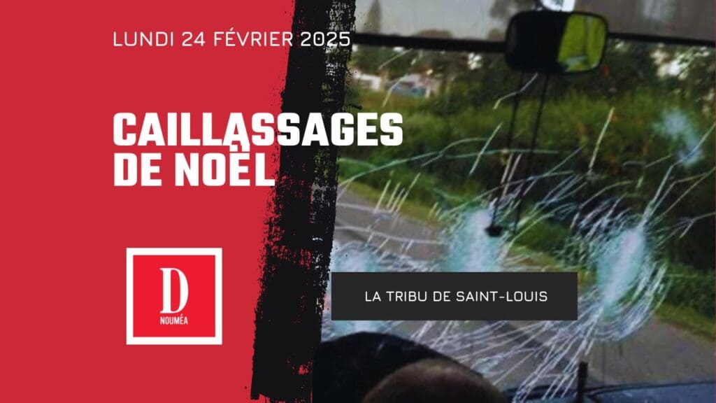 Saint-Louis : le caillassage de Noël qui a brisé une vie et révélé une zone de non-droit