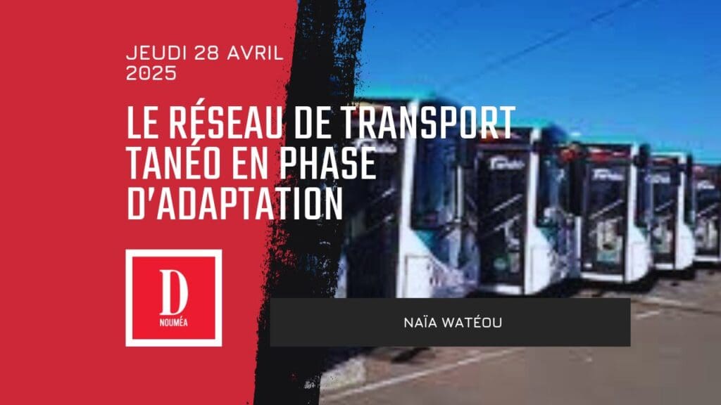 Le réseau de transport Tanéo en phase d&rsquo;adaptation après sa relance