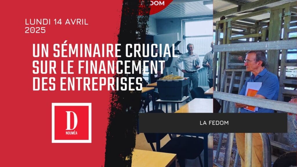 La FEDOM organise un séminaire crucial sur le financement des entreprises en Nouvelle-Calédonie