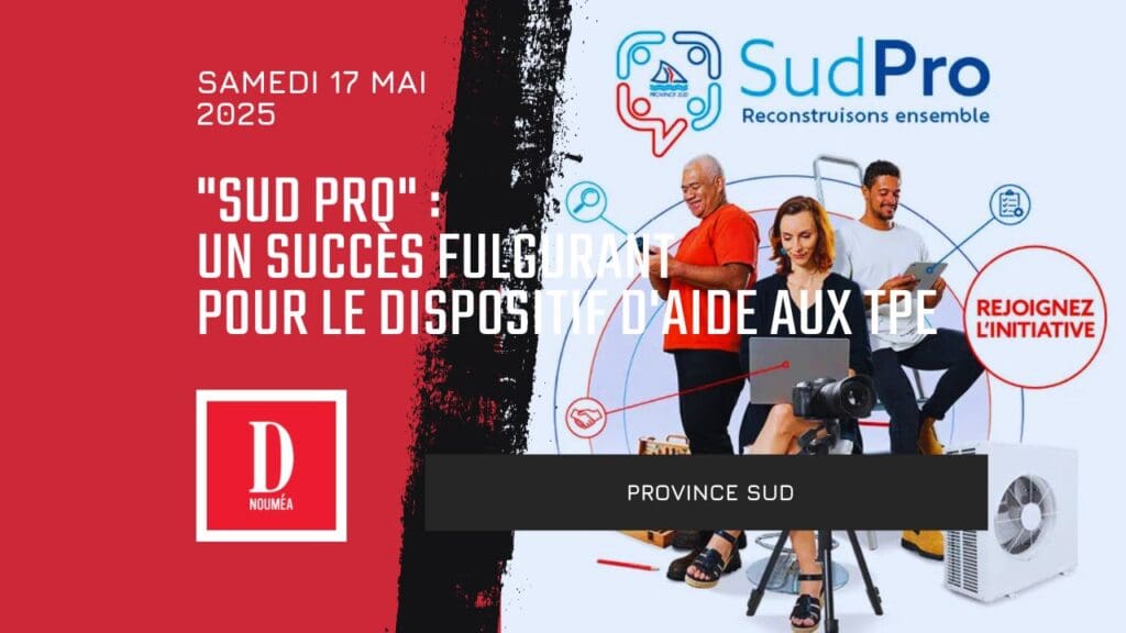 « Sud Pro » : un succès fulgurant pour le dispositif d&rsquo;aide aux TPE