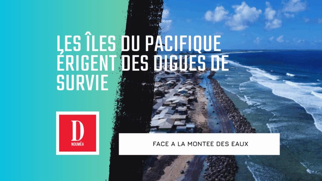 Face à la montée des eaux, les îles du Pacifique érigent des digues de survie