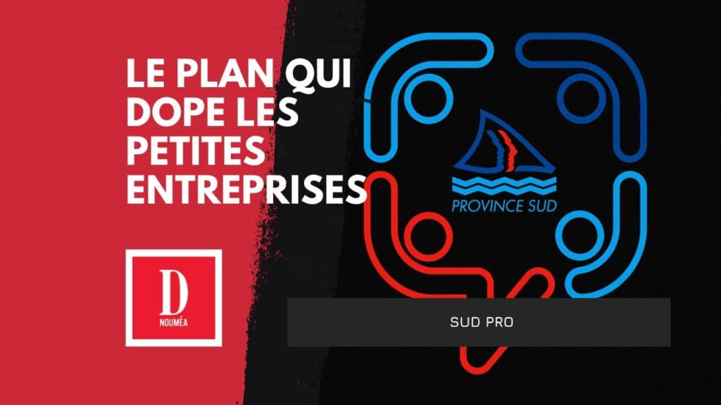 Sud Pro : un soutien direct aux vrais oubliés de la crise