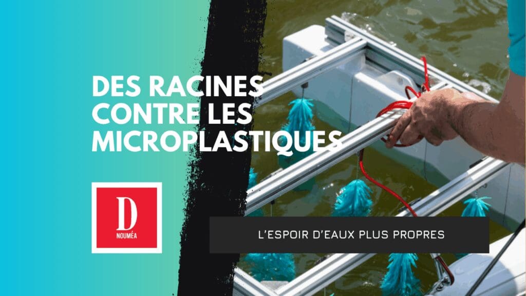 PolyGone : des racines bleues contre les microplastiques