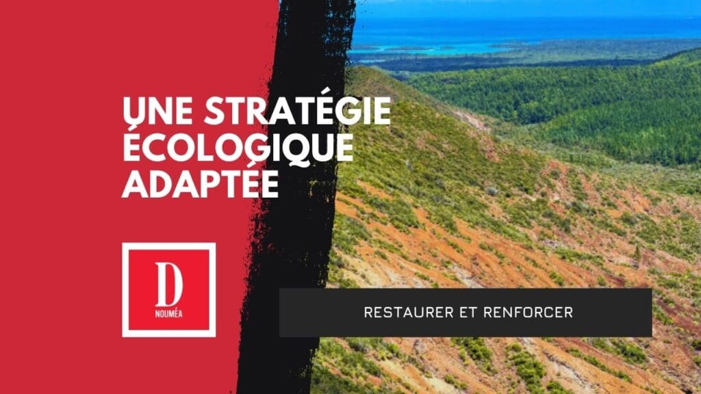 BLOSSOM : la riposte verte calédonienne