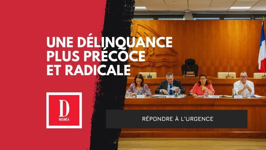 Délinquance : la province Sud sort l’artillerie lourde