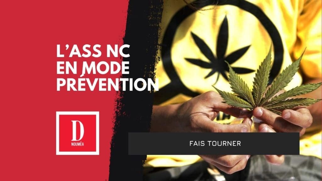 Explosion du cannabis chez les jeunes