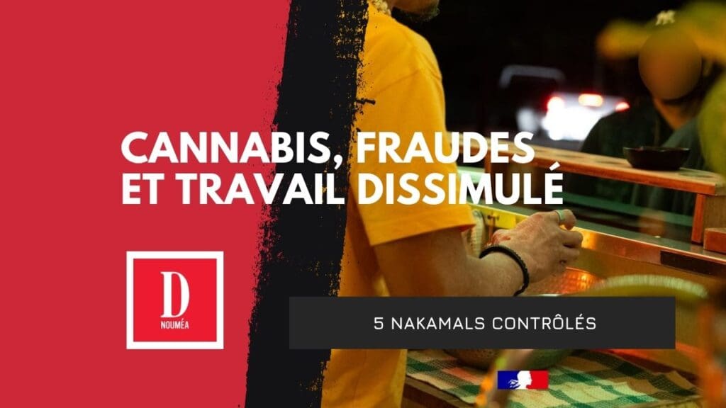 Cannabis, fraudes et travail dissimulé