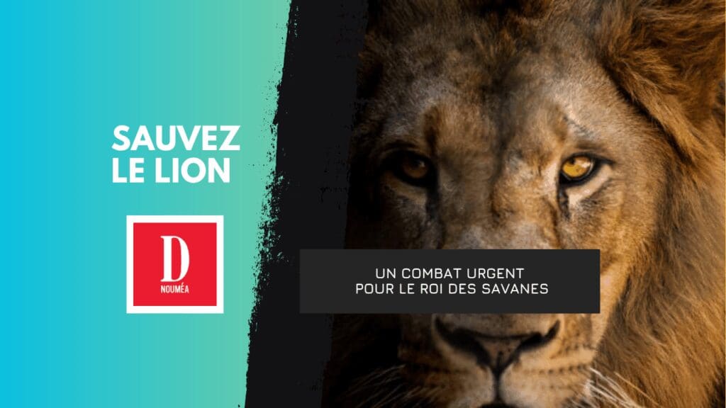 Journée mondiale du Lion : un cri pour sauver le roi des savanes