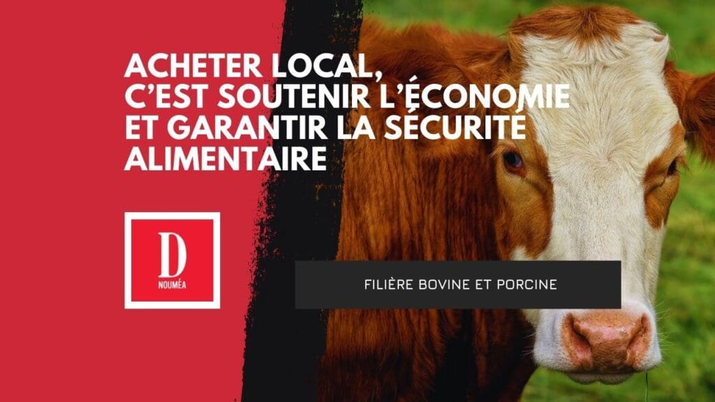 L’agriculture calédonienne à l’épreuve de la crise