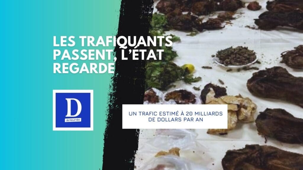 Animaux volés, virus importés : l’alerte rouge