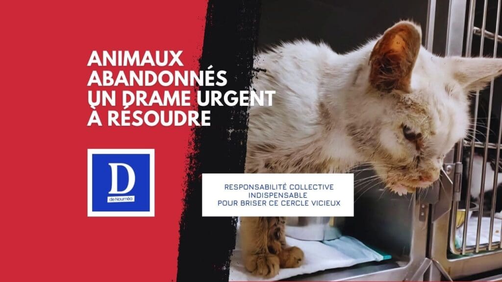 Hausse alarmante des maltraitances animales depuis le 13 mai