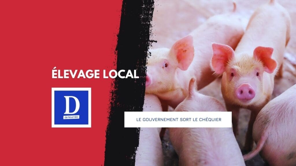 109 millions pour sauver l’élevage local