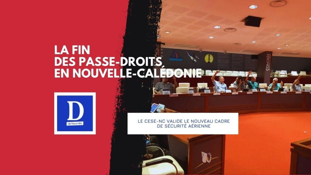 Aérien : le CESE-NC serre la vis sur la sécurité des vols