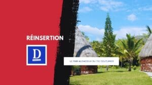 Travail d’intérêt général : la justice prend racine en tribu