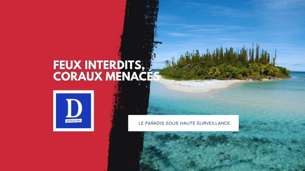 Lagon en danger : les règles que tout Calédonien doit connaître