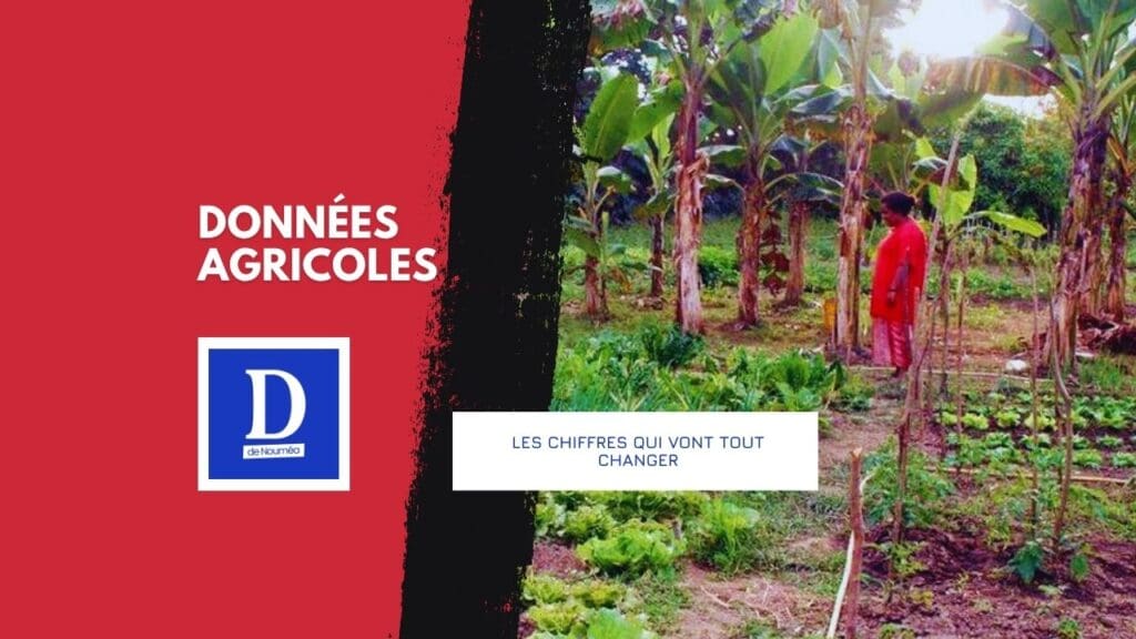 Terres, bétail, cultures : le grand audit commence