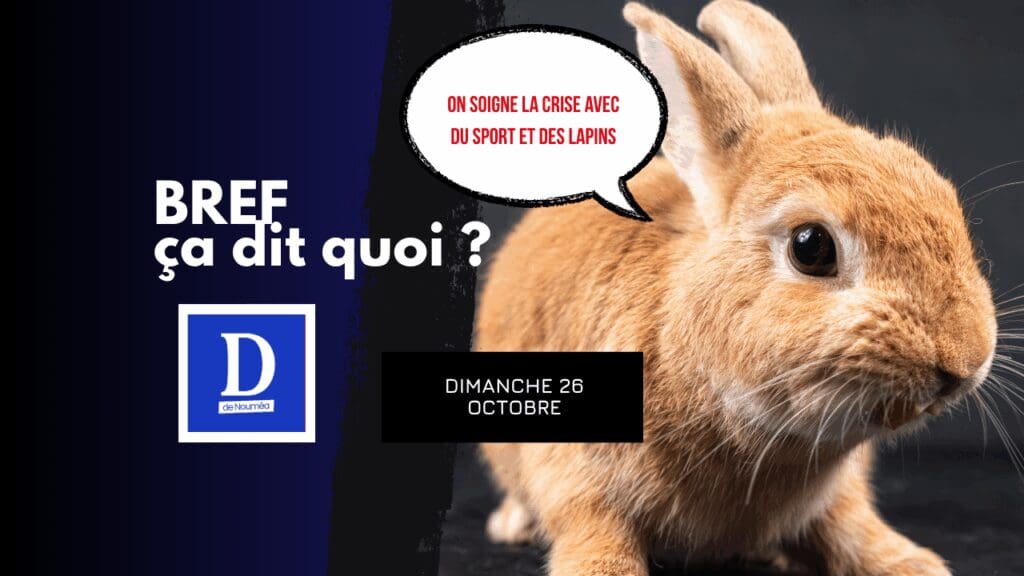On soigne la crise avec du sport et des lapins