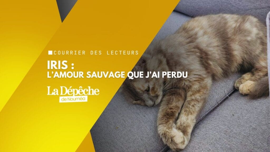 “Iris, l’amour sauvage que j’ai perdu au petit matin”