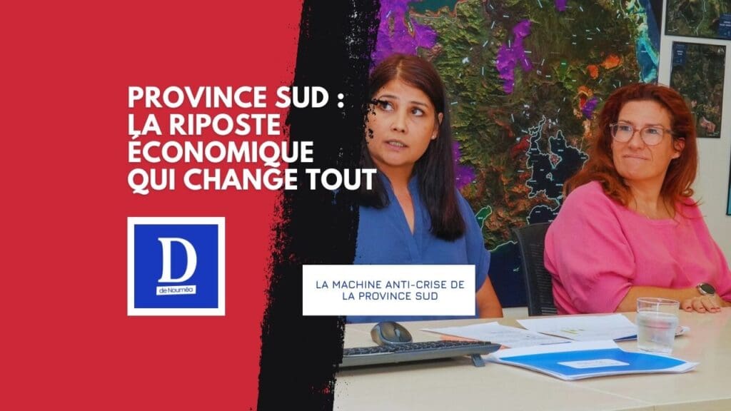 Sud Pro 2025 : le plan qui a remis les entreprises au travail