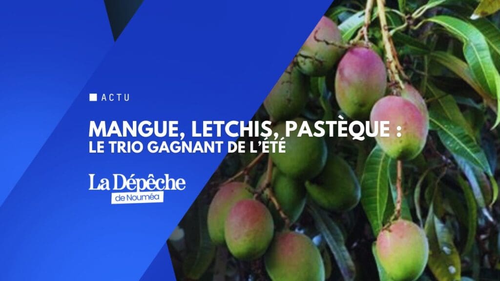 Ces fruits d’été qui protègent vraiment votre santé