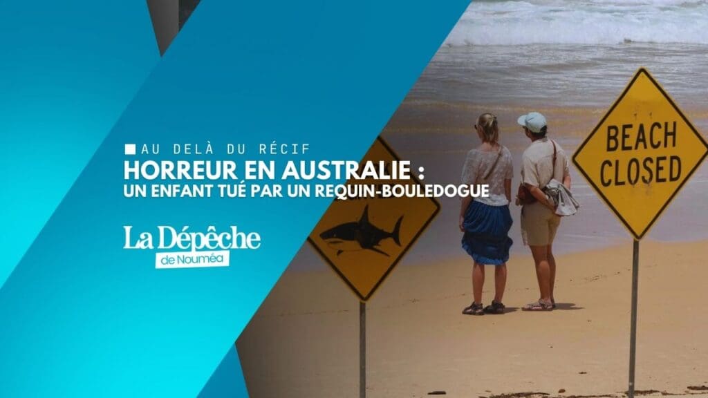 Horreur en Australie : un enfant tué par un requin-bouledogue