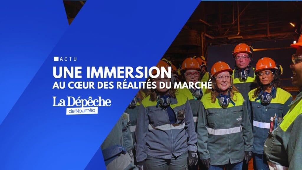 Nickel : les députés au cœur du poumon industriel de Doniambo